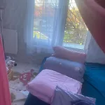 Baratsagos Privat bolig Budaörs