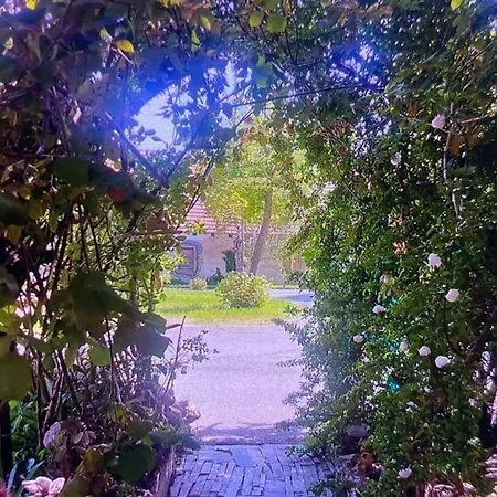 Homestay Baratsagos